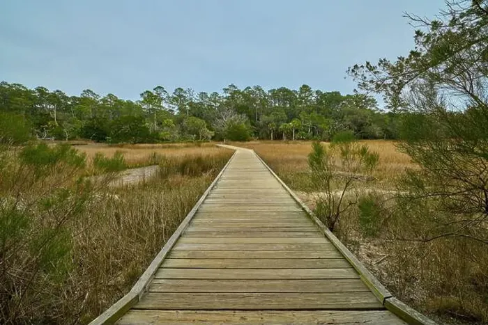 Framed Print : Boardwalk at Skidaway Island State Park, GA Framed Print : Boardwalk at Skidaway Island State Park, GA