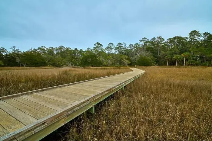 Framed Print : Boardwalk at Skidaway Island State Park, GA Framed Print : Boardwalk at Skidaway Island State Park, GA