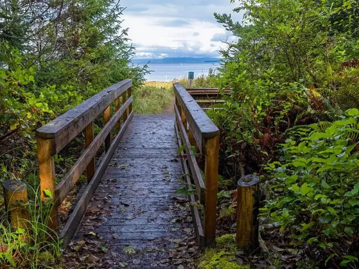 Framed Print : A boardwalk on the trail to the beach of Willapa Bay at Leadbetter Point State Park, Washington, USA Framed Print : A boardwalk on the trail to the beach of Willapa Bay at Leadbetter Point State Park, Washington, USA
