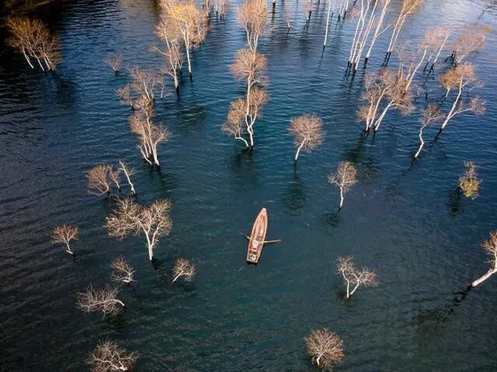 Framed Print : A boat travels on a deserted lake among the dry trees in the morning on a winter day Framed Print : A boat travels on a deserted lake among the dry trees in the morning on a winter day