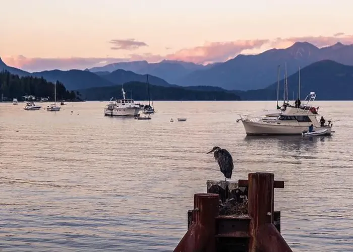 Framed Print : Boats in the marina at sunset at Gibsons on the Sunshine Coast in BC, Canada. A heron sits on a post in the foreground Framed Print : Boats in the marina at sunset at Gibsons on the Sunshine Coast in BC, Canada. A heron sits on a post in the foreground