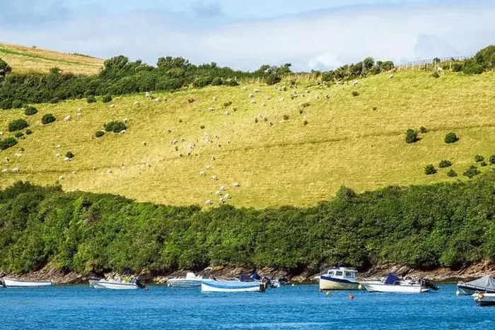 Framed Print : Boats and Yachts on Kingsbridge Estuary in Salcombe and Mill Bay, Batson Creek, Southpool Creek, Devon, England, Europe Framed Print : Boats and Yachts on Kingsbridge Estuary in Salcombe and Mill Bay, Batson Creek, Southpool Creek, Devon, England, Europe