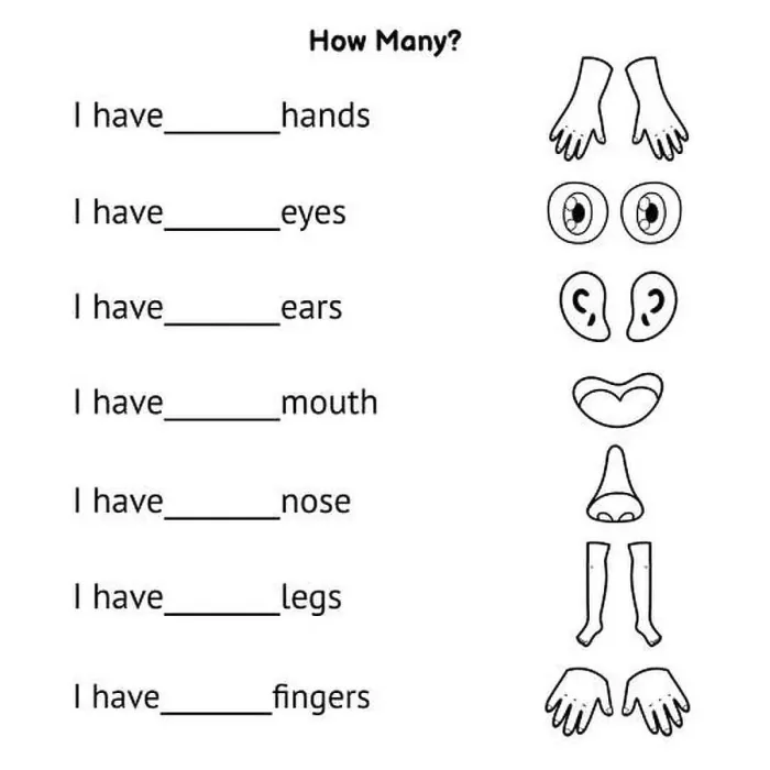 Framed Print : How many body parts. Write the correct answer. Activity page for school and preschool Framed Print : How many body parts. Write the correct answer. Activity page for school and preschool