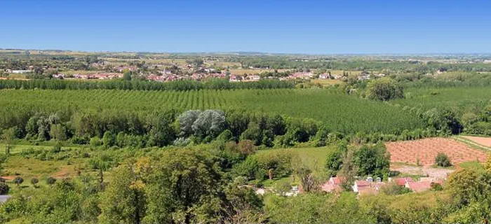 Framed Print : Bordeaux vineyards in spring Framed Print : Bordeaux vineyards in spring