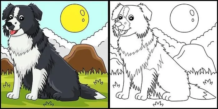 Framed Print : Border Collie Dog Coloring Page Illustration Framed Print : Border Collie Dog Coloring Page Illustration