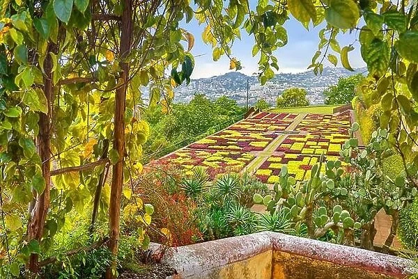 Botanical Gardens, Funchal, Madeira Island, Portugal
