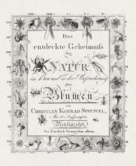 Framed Print : Botanical Title Page from a German book published in 1793 Framed Print : Botanical Title Page from a German book published in 1793
