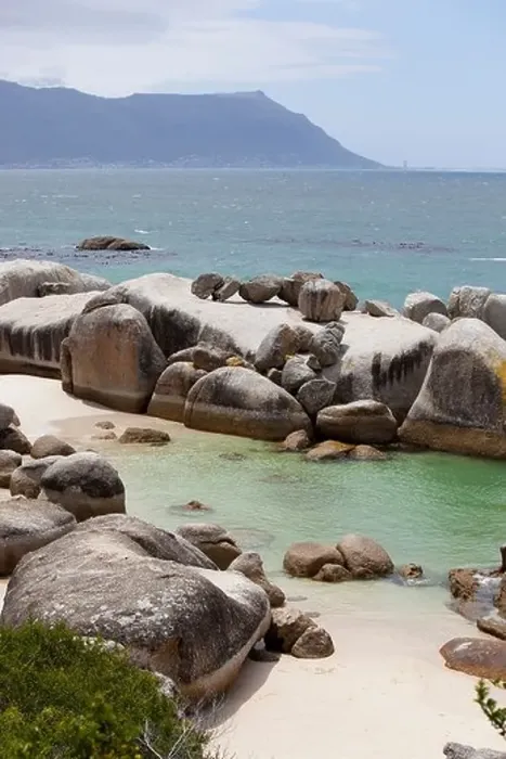 Framed Print : Boulders Beach, Simon's Town, South Africa Framed Print : Boulders Beach, Simon's Town, South Africa