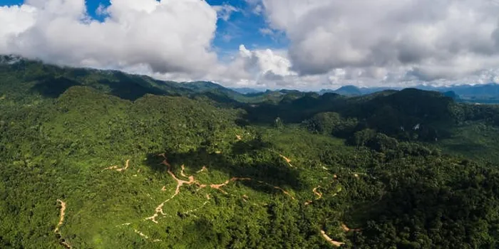 Framed Print : Breathtaking panoramic view of rainforest in Malaysia Framed Print : Breathtaking panoramic view of rainforest in Malaysia