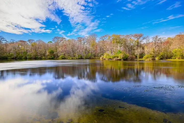 Framed Print : A breathtaking view of Wakulla Springs Framed Print : A breathtaking view of Wakulla Springs