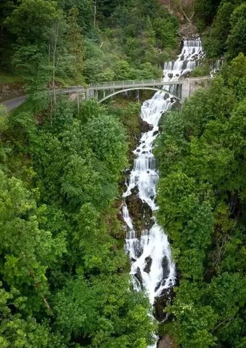 Framed Print : A bridge leads over a waterfall surrounded by green plants Framed Print : A bridge leads over a waterfall surrounded by green plants