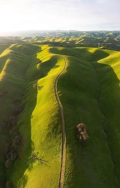 Bright morning sunlight shines on green, grass-covered hills in the Tri-valley region of Northern California, just east of San Francisco Bay