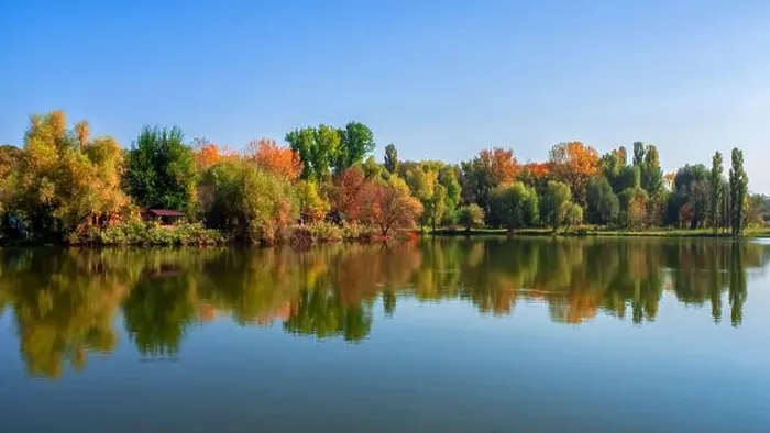 Framed Print : Bright summer landscapes with reflection of trees in the lake in Framed Print : Bright summer landscapes with reflection of trees in the lake in