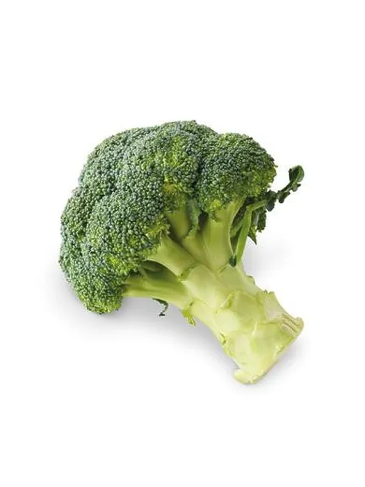 Framed Print : Broccoli Framed Print : Broccoli