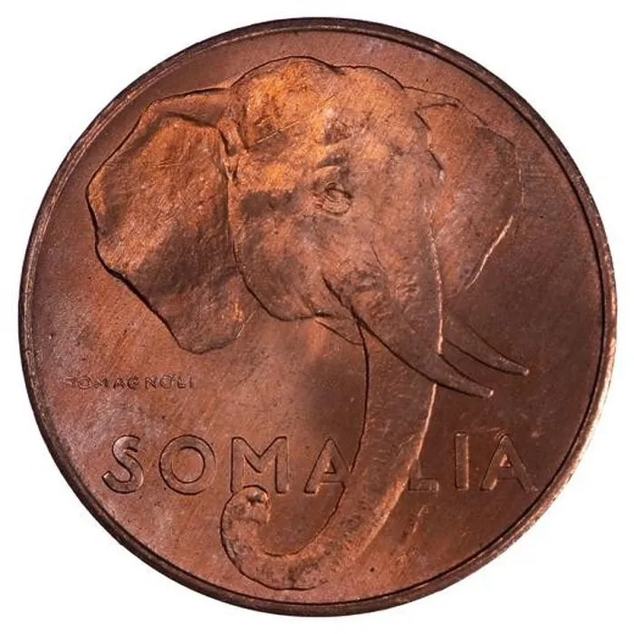 Framed Print : Bronze 1950 Vintage Elephant Head Centesimi Coin From Somalia during italian Era Framed Print : Bronze 1950 Vintage Elephant Head Centesimi Coin From Somalia during italian Era