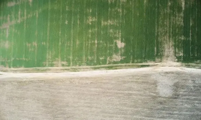 Framed Print : Brown and green agricultural field above drone top view Framed Print : Brown and green agricultural field above drone top view