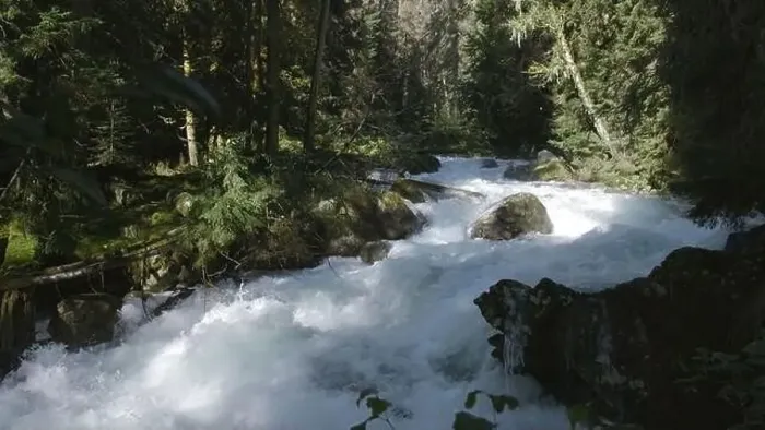Framed Print : Bubbling river in green forest Framed Print : Bubbling river in green forest