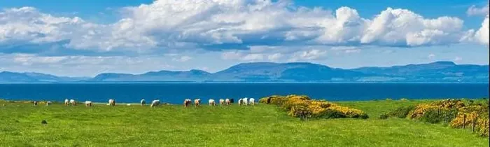 Framed Print : Bulls and Cows on Fields over Coastline, English Village, England, Europe Framed Print : Bulls and Cows on Fields over Coastline, English Village, England, Europe