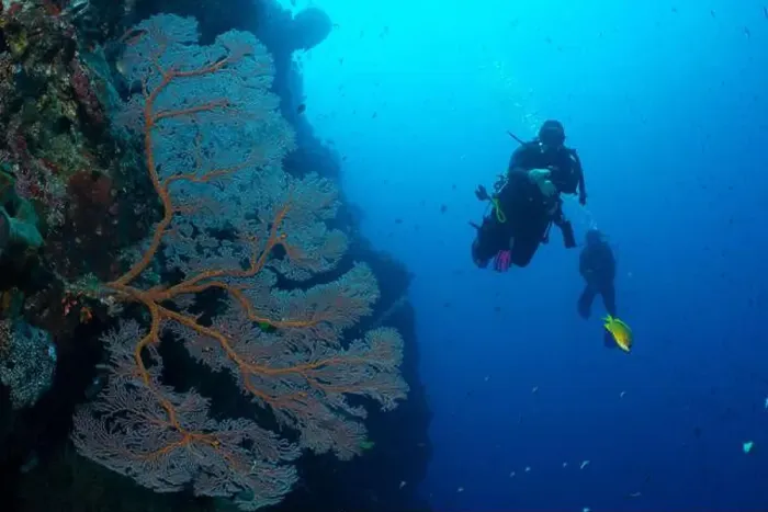 Framed Print : Bunaken Island - Reefscapes