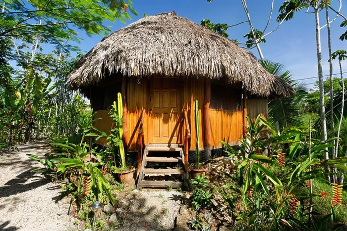 Framed Print : Bungalow with a thatched roof in the tropical forest, Punta Gorda, Belize, Central America, Caribbean Framed Print : Bungalow with a thatched roof in the tropical forest, Punta Gorda, Belize, Central America, Caribbean