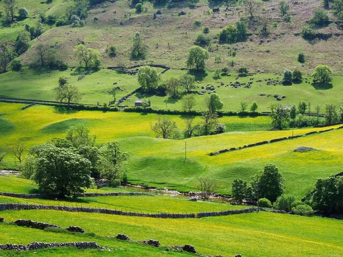 Framed Print : Buttercup meadows in Langstrothdale Upper Wharfedale Yorkshire Dales National Park North Yorkshire England Framed Print : Buttercup meadows in Langstrothdale Upper Wharfedale Yorkshire Dales National Park North Yorkshire England