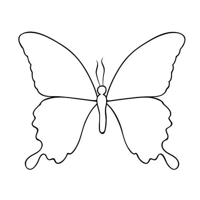 Framed Print : butterfly line drawing isolated on a white background vector illustration EPS10 Framed Print : butterfly line drawing isolated on a white background vector illustration EPS10