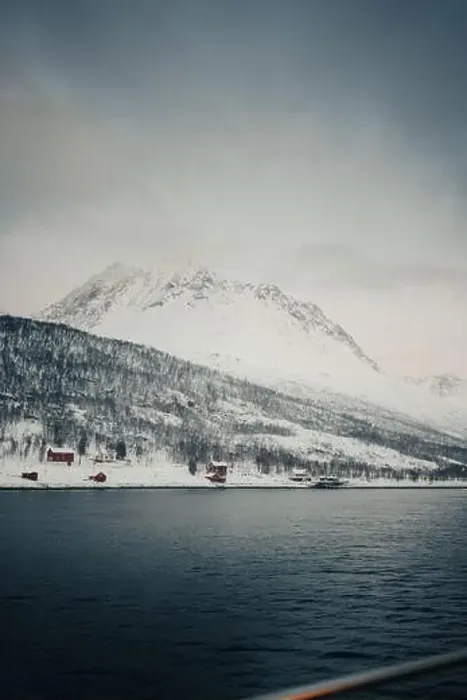 Framed Print : Cabins in arctic Norway by the ocean in the snowy Lyngen Alps Framed Print : Cabins in arctic Norway by the ocean in the snowy Lyngen Alps