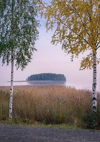 Calm autumn evening landscape with fall color birch trees and tranquil lake in Finland