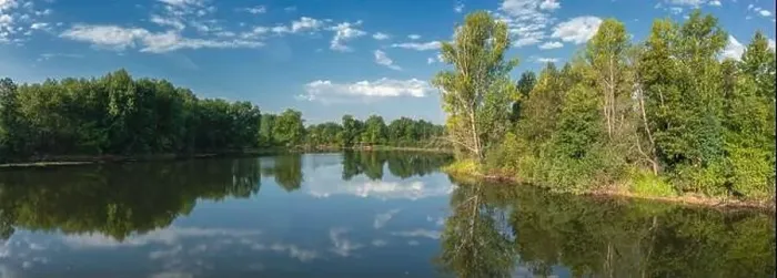 Framed Print : Calm summer lake in forest Framed Print : Calm summer lake in forest