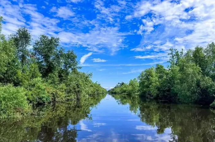 Framed Print : Calm water on a Louisiana Swamp Framed Print : Calm water on a Louisiana Swamp