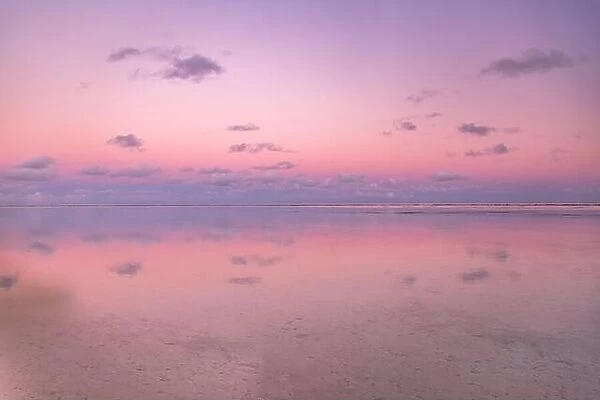 Calmness and tranquil zen-like sunset at the beach with beautiful colors in pink and red with reflections on the water. Tranquil seascape and horizon