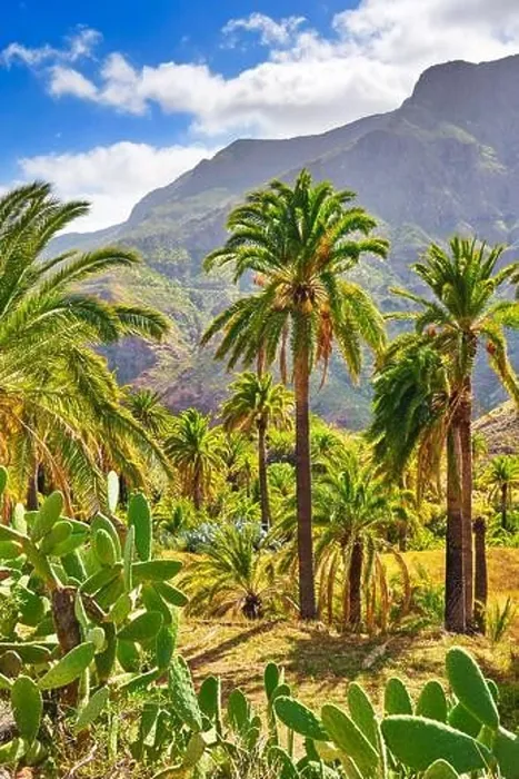 Framed Print : Canarian landscape, Gran Canaria, Canary Islands, Spain Framed Print : Canarian landscape, Gran Canaria, Canary Islands, Spain