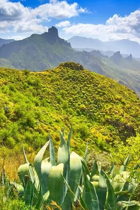 Framed Print : Canarian landscape, Gran Canaria, Canary Islands, Spain Framed Print : Canarian landscape, Gran Canaria, Canary Islands, Spain