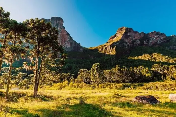 Framed Print : Canyon with trees and rocks with morning light in Santa Catarina, Brazil Framed Print : Canyon with trees and rocks with morning light in Santa Catarina, Brazil
