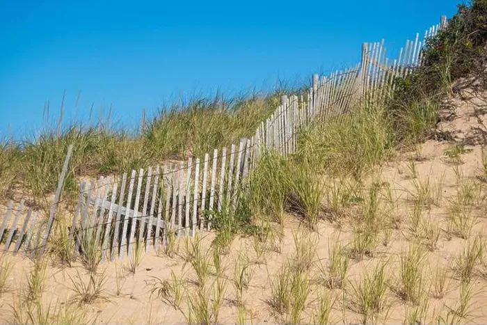Framed Print : Cape Cod National Seashore features Herring Cove and full access to the Atlantic Ocean near Provincetown, MA, USA Framed Print : Cape Cod National Seashore features Herring Cove and full access to the Atlantic Ocean near Provincetown, MA, USA