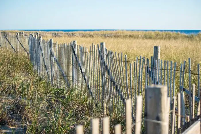 Framed Print : Cape Cod National Seashore features Herring Cove and full access to the Atlantic Ocean near Provincetown, MA, USA Framed Print : Cape Cod National Seashore features Herring Cove and full access to the Atlantic Ocean near Provincetown, MA, USA
