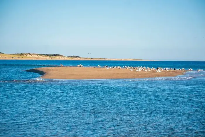 Framed Print : Cape Cod National Seashore features Herring Cove and full access to the Atlantic Ocean near Provincetown, MA, USA Framed Print : Cape Cod National Seashore features Herring Cove and full access to the Atlantic Ocean near Provincetown, MA, USA