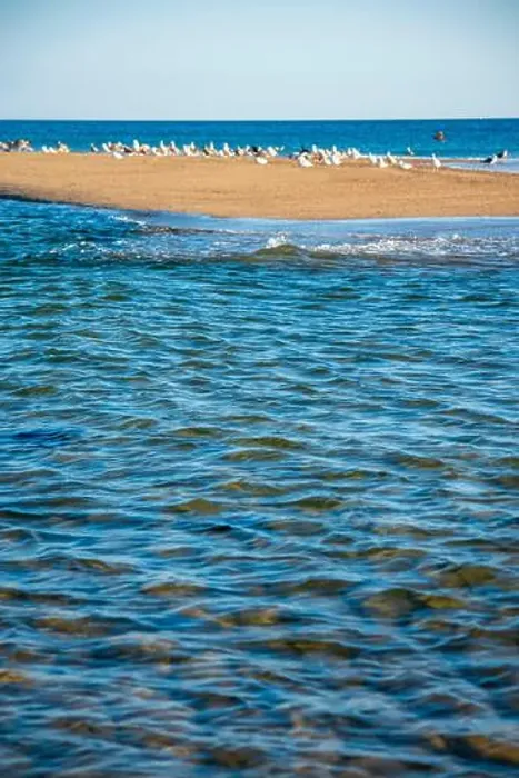 Framed Print : Cape Cod National Seashore features Herring Cove and full access to the Atlantic Ocean near Provincetown, MA, USA Framed Print : Cape Cod National Seashore features Herring Cove and full access to the Atlantic Ocean near Provincetown, MA, USA