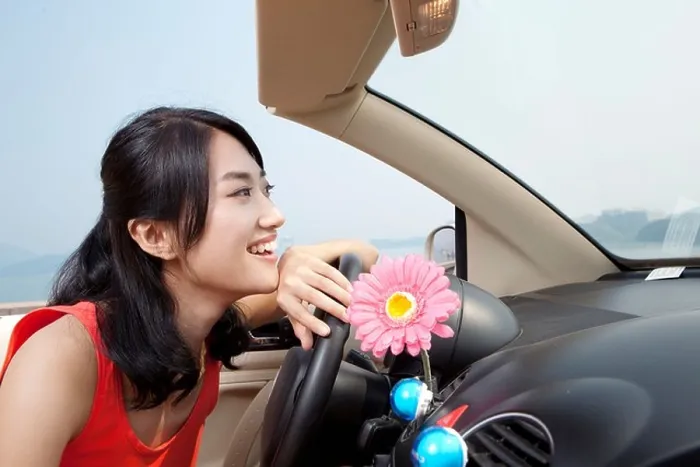 Framed Print : car, travel, sky, China, Beijing, Asian girl, black hair, happy, smile, horizontal, intelligent, college student, car interior Framed Print : car, travel, sky, China, Beijing, Asian girl, black hair, happy, smile, horizontal, intelligent, college student, car interior