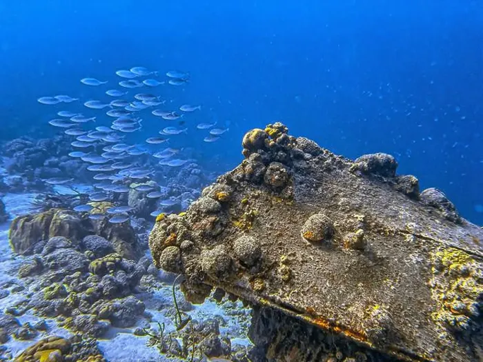 Framed Print : Caribbean coral reef off the coast of the island of Bonaire in summer Framed Print : Caribbean coral reef off the coast of the island of Bonaire in summer