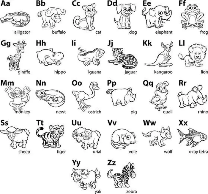 Framed Print : Cartoon Animal Alphabet Letters Language Chart Framed Print : Cartoon Animal Alphabet Letters Language Chart