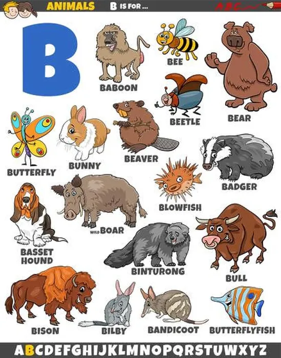 Framed Print : Cartoon illustration of animal characters set for letter B Framed Print : Cartoon illustration of animal characters set for letter B
