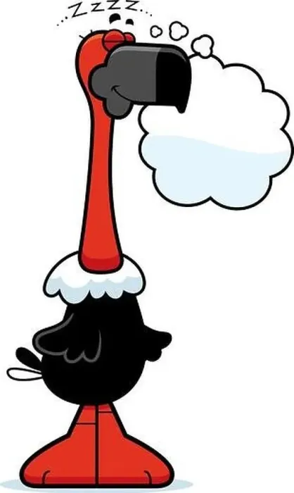 Framed Print : A cartoon illustration of a vulture sleeping and dreaming Framed Print : A cartoon illustration of a vulture sleeping and dreaming