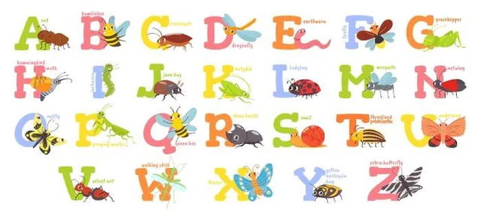 Framed Print : Cartoon insects alphabet. Funny bug letters Framed Print : Cartoon insects alphabet. Funny bug letters
