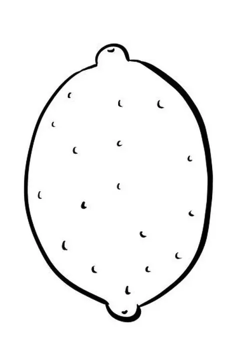 Framed Print : Cartoon lemon line drawing Framed Print : Cartoon lemon line drawing