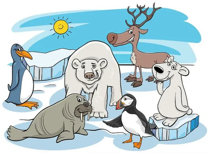 Framed Print : Cartoon polar animals characters group Framed Print : Cartoon polar animals characters group