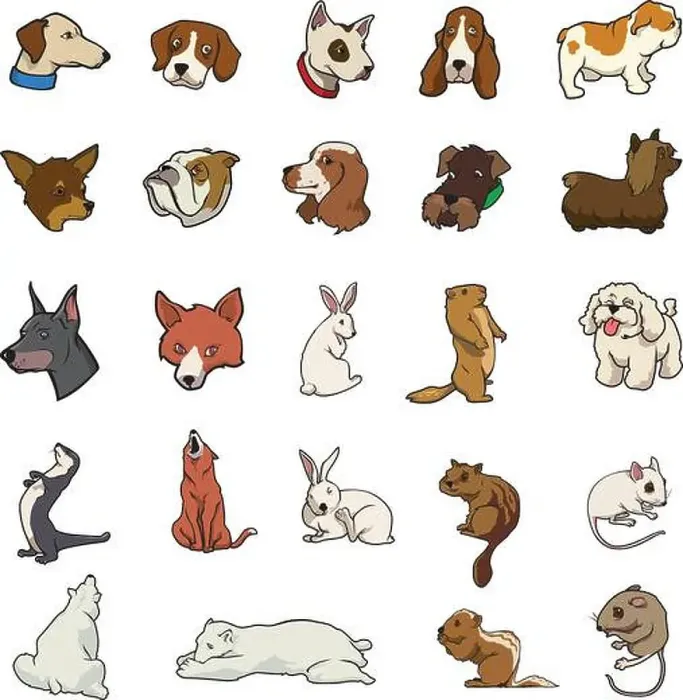 Framed Print : cartoon vector random animal collection Framed Print : cartoon vector random animal collection