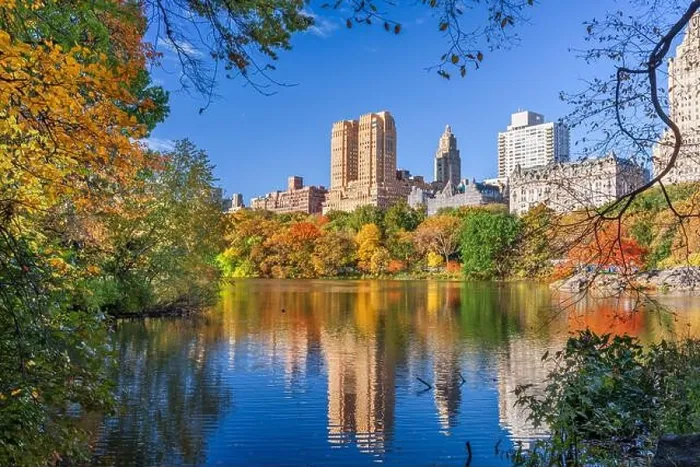 Framed Print : Central Park during autumn in New York City Framed Print : Central Park during autumn in New York City