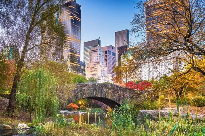 Framed Print : Central Park during autumn in New york City Framed Print : Central Park during autumn in New york City
