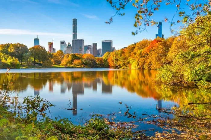 Framed Print : Central Park during autumn in New York City Framed Print : Central Park during autumn in New York City